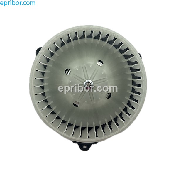 photo_5294292004533638083_y