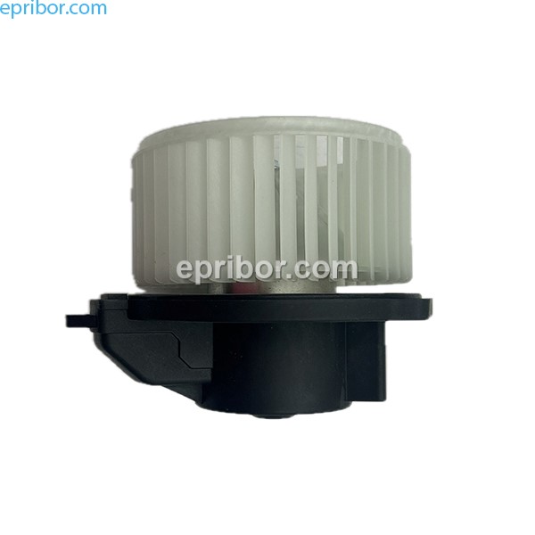 photo_5294292004533638088_y